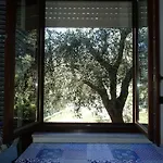 Casetta Tra Gli Ulivi Vicina Al Mare Appartement Giustenice