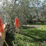 Casetta Tra Gli Ulivi Vicina Al Mare Appartement