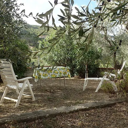 Apartamento Casetta Tra Gli Ulivi Vicina Al Mare *