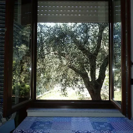 Casetta Tra Gli Ulivi Vicina Al Mare Διαμέρισμα Giustenice