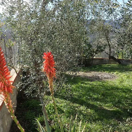 Casetta Tra Gli Ulivi Vicina Al Mare Apartamento