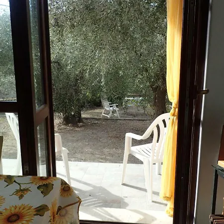 Casetta Tra Gli Ulivi Vicina Al Mare Giustenice